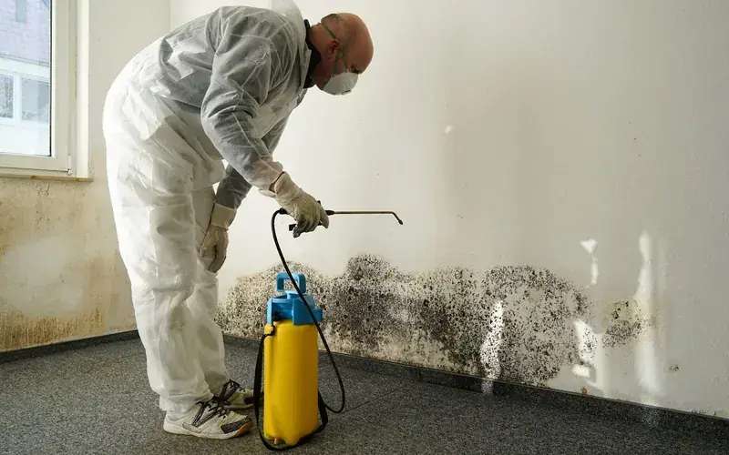 A technician in protective gear treating mold on a wall in a Spicewood, TX home